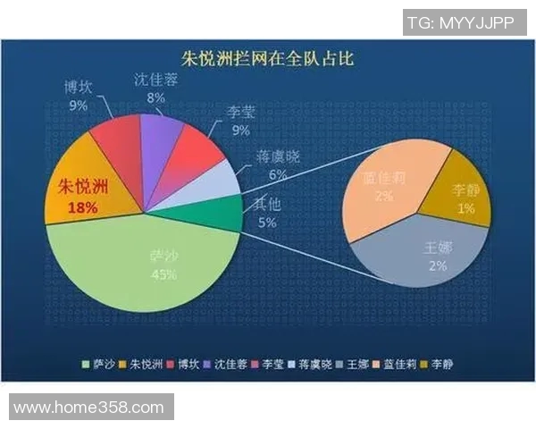 深圳排球队总决赛战术分析与表现评估全面解读