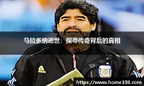 DG真人视讯