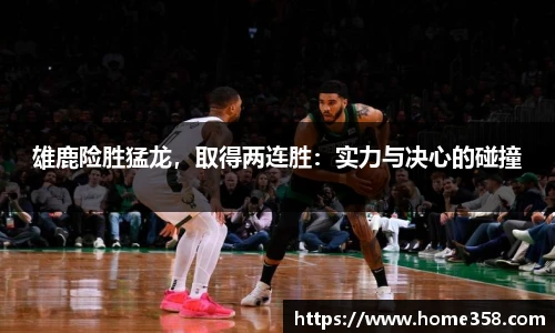 DG视讯平台