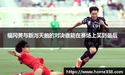 DG真人视讯